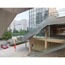 Escada rolante de Shopping Center Bsdun da China